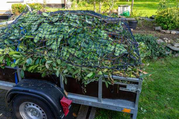 Best Carpet Removal and Disposal  in Newbern, TN